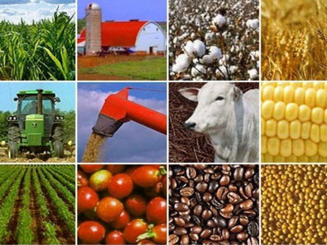 Agropecuária